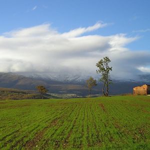 Molino De La Ferrería